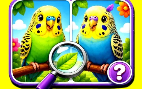 Budgie Spot the Difference