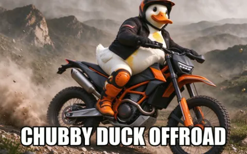 Chubby Duck Offroad