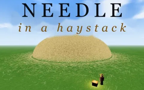 Needle in a Haystack