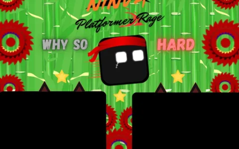 Ninja Platformer Rage