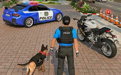 Police Car Chace