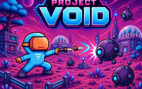 Project VOID