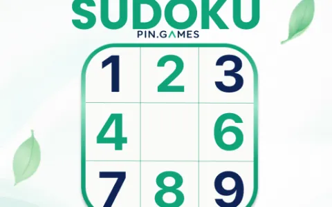 Sudoku – Pin.Games