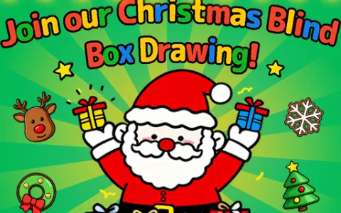 Christmas Blind Box‌