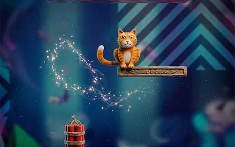 Happy Cat