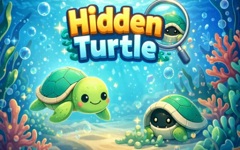 Hidden Turtle