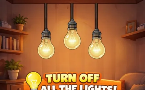 Light Bulb Puzzle