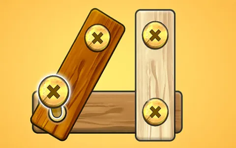 Nut Bolt Screw Puzzle Game