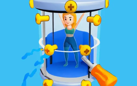 Screw Masters 3D Puzzle