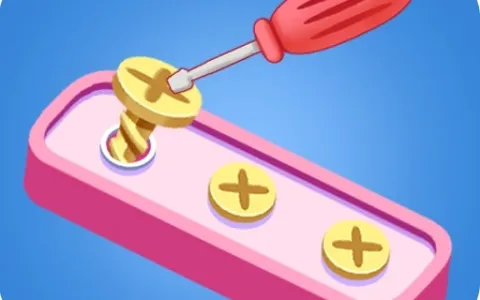 Screw Puzzle