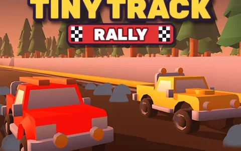 Tiny Track Rally