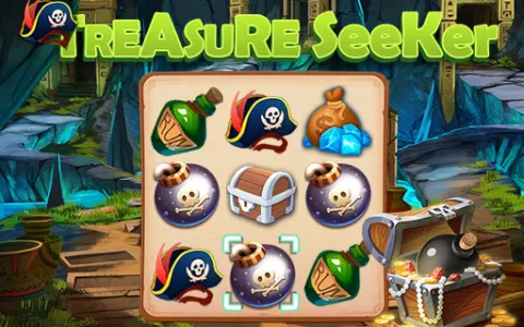 Treasure Seeker