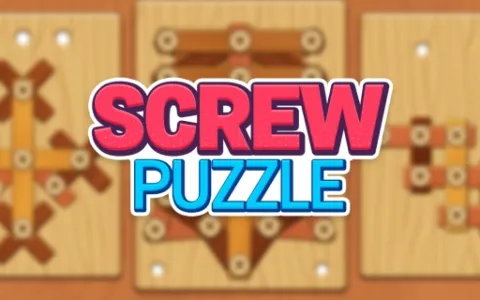 Wood Screw Puzzle